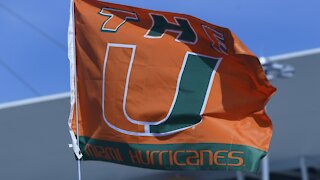Falling Cat Saved At Miami College Football Game