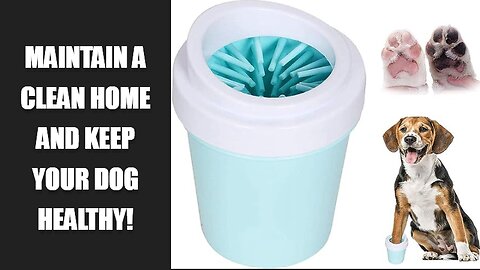 Maintain a Clean Home and Keep Your Dog Healthy!