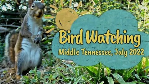 Birdwatching Middle Tennessee JULY 2022 Cumberland Plateau Highland Rim Area CAT TV 📺