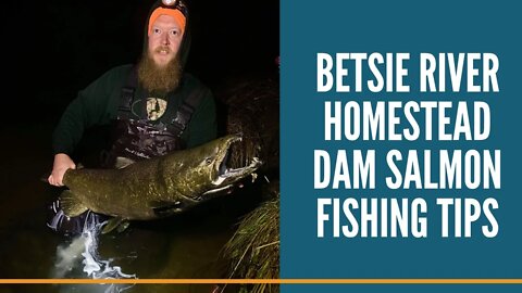 How To Fish The Betsie River Homestead Dam Benzonia Michigan / Michigan King Salmon Fishing Tips