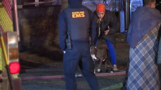 Cleveland firefighters rescue family dog from burning home