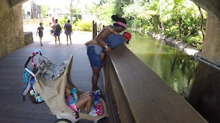 Blasian Babies Family Visit Animal Kingdom!