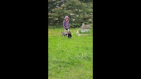 Youngest daughter playing with are 🐶 puppy's