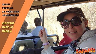 Elephant Magic at Mabula Game Lodge 2.5 hours from Johannesburg