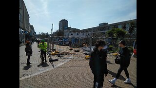 Plymouth City Centre Destruction of Trees