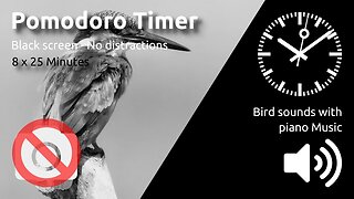 Pomodoro Timer 8 x 25min ~ Birds sounds with piano music 🖤 ⬛️ 🔊