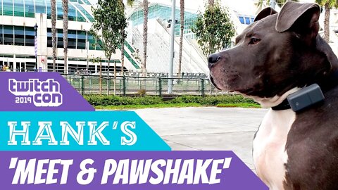Hank's Twitchcon 'Meet & Pawshake' 2019