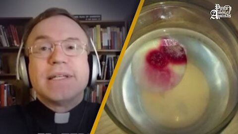 Eucharistic Miracle or Simply Bread Mold? w/ Fr. Terry Donahue