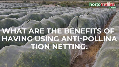 What are the benefits of having using anti-pollination netting.