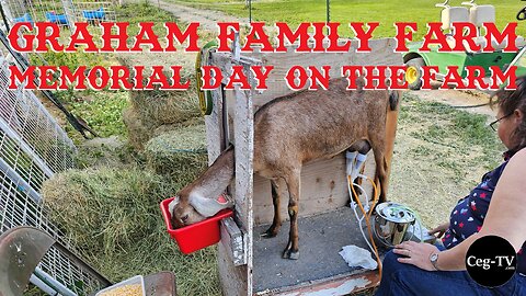 Graham Family Farm: Memorial Day on the Farm