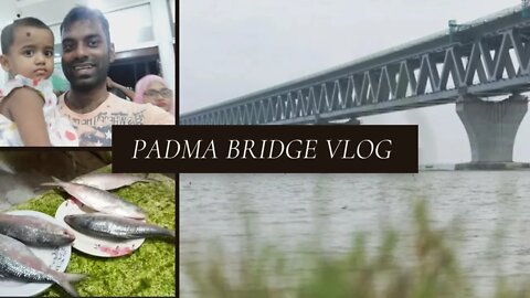 পদ্মা সেতু উদ্বোধনের পরে মাওয়া ঘাটের ইলিশ || Padma Bridge Now Hilsa Of Mawa Ghat @Sojib bd online