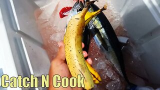 Offshore Trolling Key Largo | TheBallyHoop - Mahi - Tuna | Catch N Cook