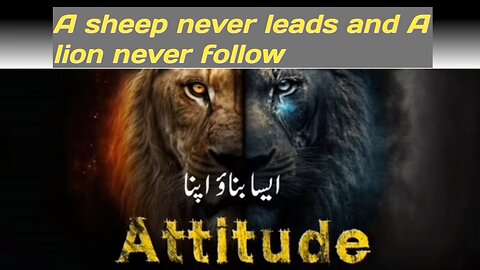 A sheep never leads and A lion never follow