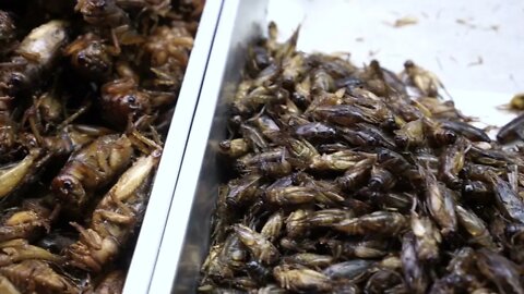 Thailand street food, deep fried insect super food