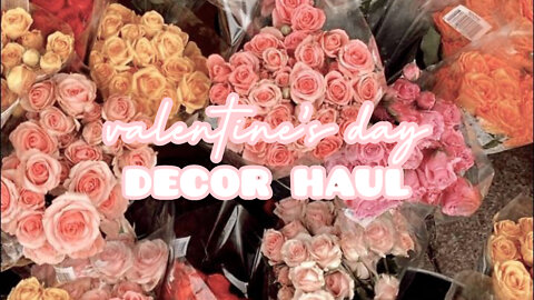 Valentines Day Decor Haul!