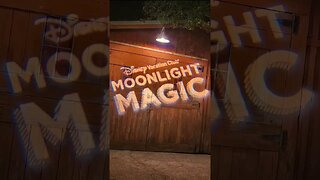 DVC Moonlight Magic In A Nutshell