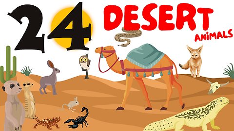 24 Desert Animals for Kids | Educational Videos for Toddlers