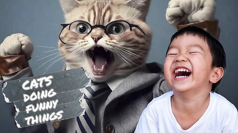 Time to laugh with cats doing funny things