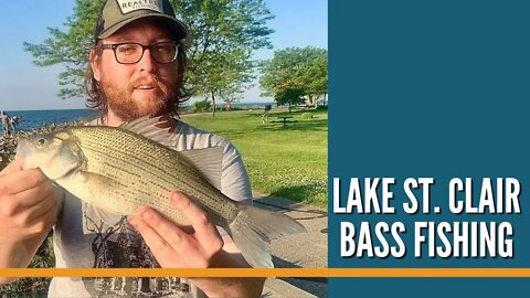 Bank Fishing Lake St Clair / Lake St Clair Bass Fishing / Lake St Clair Metropark / 4 Bass Species