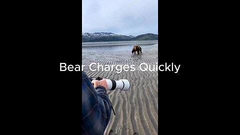 Bear Charges Quickly in Wild | Trust your Guide | Don't Panic |