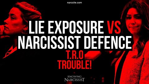 Amber Heard : Lie Exposure Vs Narcissist Defence : TRO Trouble