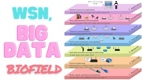 WSN, Big Data Biofield