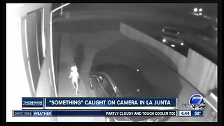'Alien' caught on LIVE camera in La Junta!!