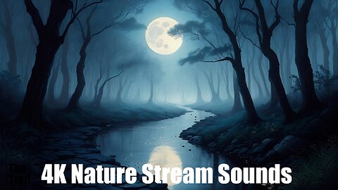 Ambient Nature Stream Sounds - Moonlight Forest | (AI) Audio Reactive Cinematic | Night Echoes