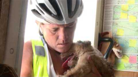 Woman Cycling In Desert Finds A Dying Puppy And Nurses It Back To Health