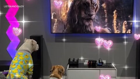 "How Two Curious Pitbulls Reacted to Watching a Majestic Lion on TV!"