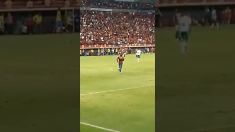 TORCEDOR INVADE O CAMPO PARA ABRAÇAR VITINHO!!!