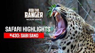 Safari Highlights #430: 28 Aug - 01 Sep 2016 | Sabi Sand Wildtuin | Latest Wildlife Sightings