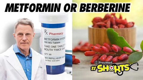 #SHORTS Metformin or Berberine?