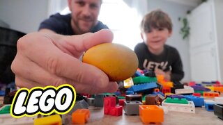 Building a DIY LEGO INCUBATOR (that actually works!)