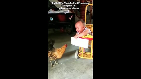 cute baby play with hen 😂