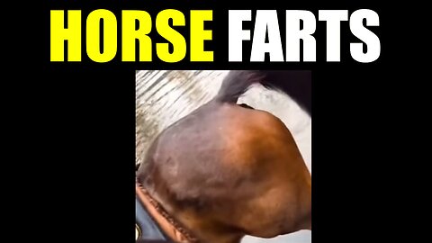Horse Fart