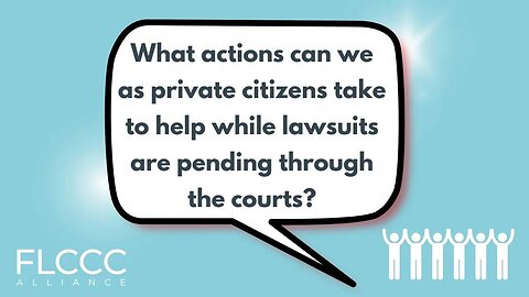 What actions can we as private citizens take to help while lawsuits are pending through the courts?
