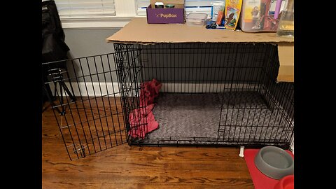Review MidWest Homes for Pets Single & Double Door Life Stages Dog Crate, Includes Tray, Ground...