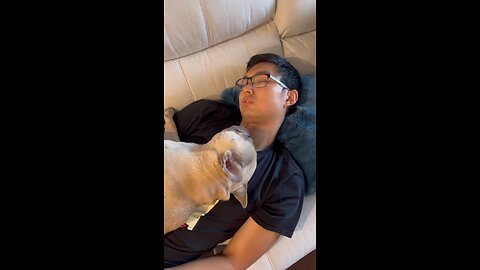Sleeping With Dog Dad | Mochi The French Bulldog