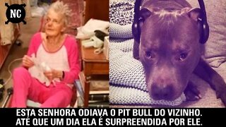 Esta senhora não gostava do Pit Bull do vizinho. Até que um dia ela é surpreendida por ele