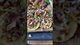 Grilled chicken tacos