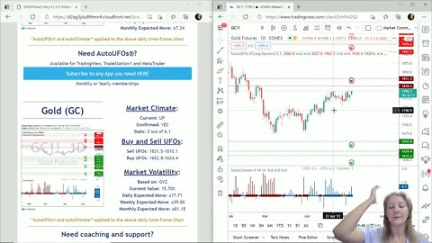 AutoUFOs 3-D Market Commentary (Becky Hayman) 2021 May-6