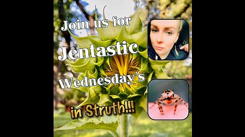Struth!!! Jentastic Wednesdays Episode 1