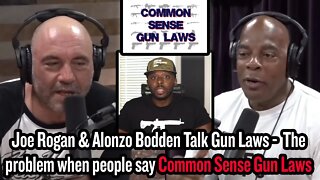 The Problem When People Say Common Sense Gun Laws - Joe Rogan & Alonzo Bodden Talk Gun Laws