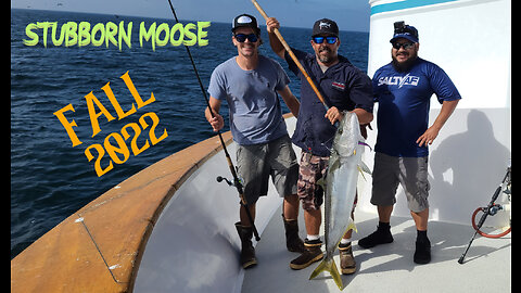 (69) 09/28/2022 - Moose Yellowtail with an attitude caught aboard the New Seaforth.