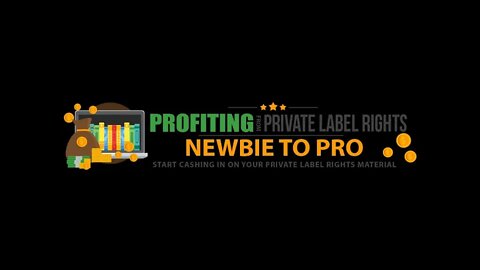 Profiting From Private Label Rights - PLR Rights Newbie to Pro