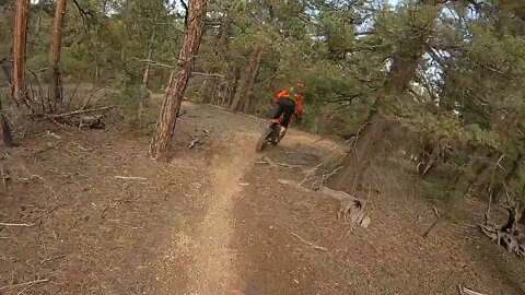 Just a really good ride on some new singletrack!