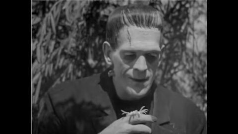 Top Ten Thought-Provoking Utterances of FRANKENSTEIN