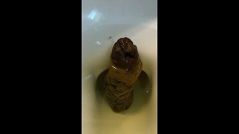 Onyx Pokemon Turd Look-Alike