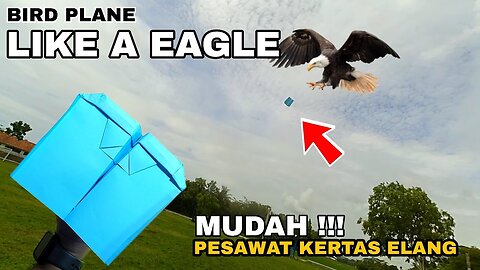 COMPETE WITH EAGLES! long & high flying paper planes - simple easy tutorial for paper planes